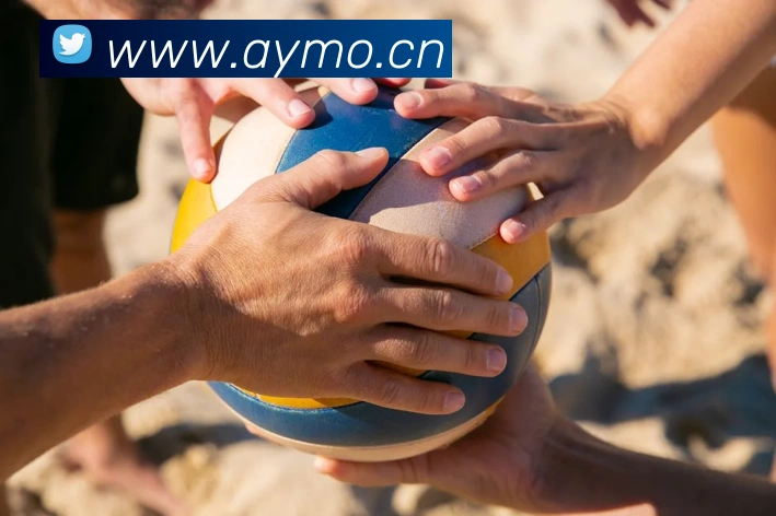 半岛在线官网平台生态图